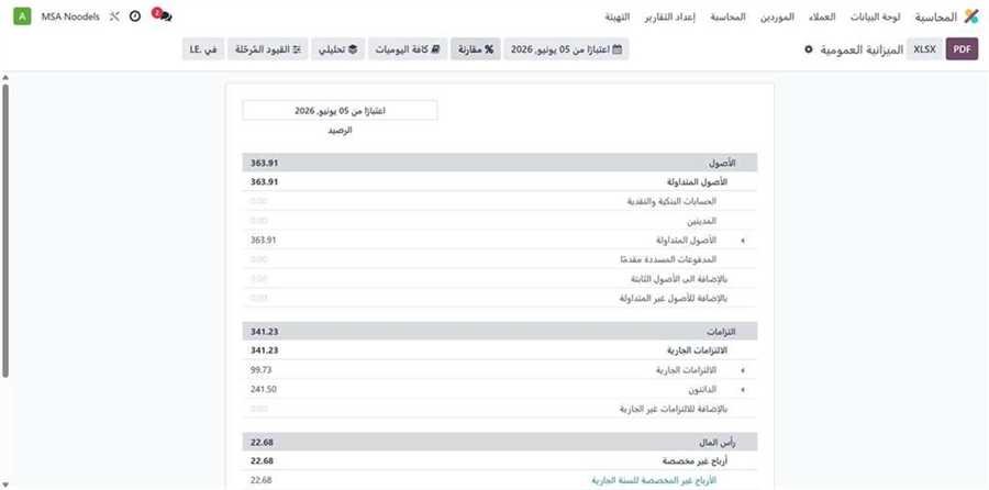 الميزانية العمومية